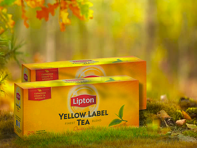 lipton haze