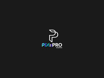 Pixnpro adobe ilustrator branding cool design design graphic graphics design illustration illustrator logo logo design typography