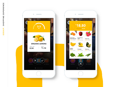 Food ios9 ios8 App Design