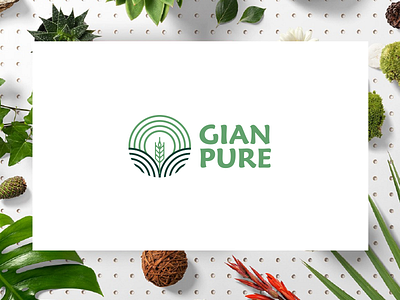 Gian Pure brand gian identity logo pure