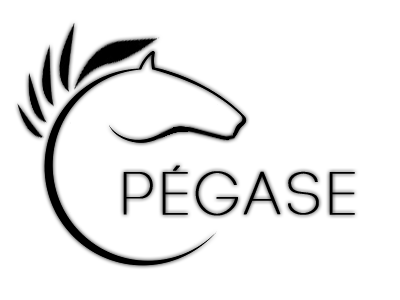 Logo Pegase design logo web