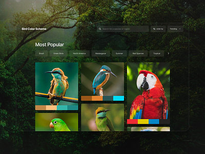 Bird Color Scheme - Feed bird color colorful glass green minimalism nature palette scheme tool