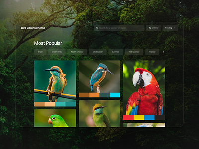 Bird Color Scheme - Feed