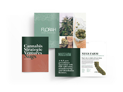 Cannabis Strategic Ventures Brand Brochure brochure design design identity print design