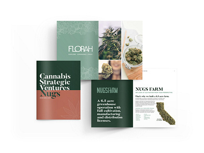 Cannabis Strategic Ventures Brand Brochure