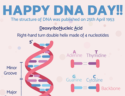 200424 DNADay biology dna flat illustration illustration sciart science scienceart vector