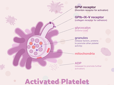 Week2 - Platelet biology blood cell flat illustration illustration sciart scicomm science vector