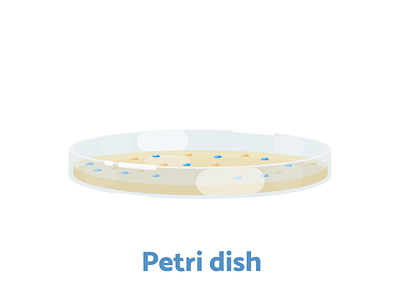 Week6 - Petri dish biology flat illustration illustration lab sciart scicomm science vector