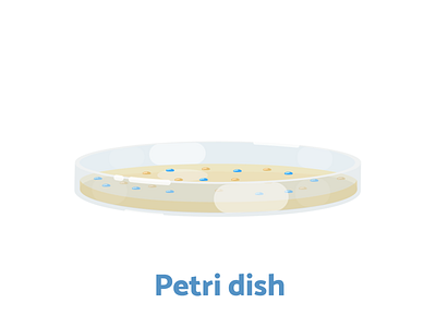 Week6 - Petri dish