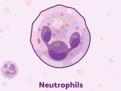 Week11 - Neutrophils cell design flat illustration illustrator sciart science vector