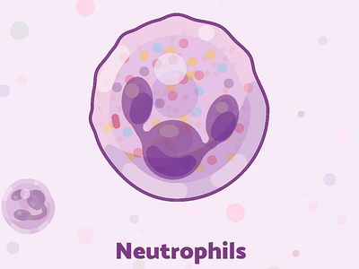 Week11 - Neutrophils