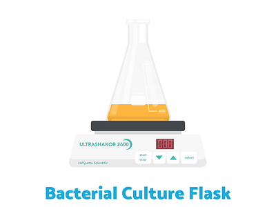 Week16 - Culture flask biology illustration lab sciart scicomm science vector
