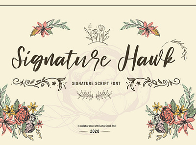 Signature hawk [Script Font] font font bundle font design fonts fonts collection illustration lettering logo font typeface typography