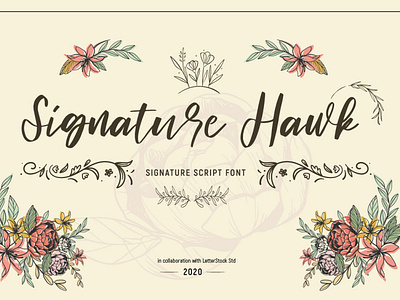 Signature hawk [Script Font]