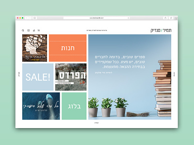 Tamir Sendik - Book publishers ecommerce ui ux web design
