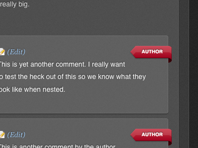Author Comment author comment blog comment design css3