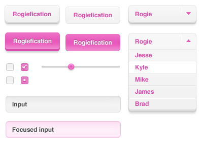 Form Elements checkbox gray grey input pink radio select slider text