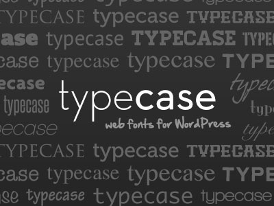 Beta Release typecase typography web fonts wordpress