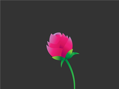 Only Rose design illustration vector