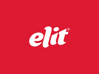 Elit branding clean concept design flat identity logo simple type typography vector