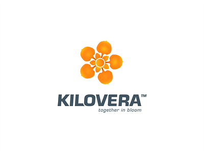 Kilovera branding clean concept design flat identity logo simple vector