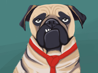 pug