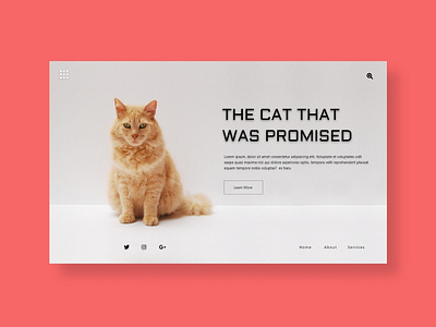 Cat Sight design flat minimal ui ux web website