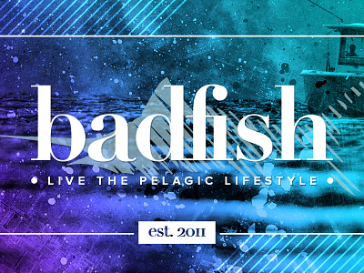 Badfish Co. Gradient/Overlay Treatment brand refresh identity design
