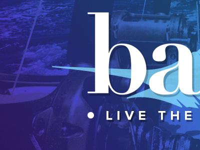 Badfish Co. Identity Teaser brand refresh identity design