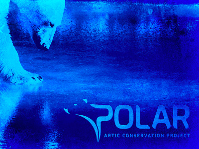 Polar Artic Conservation Project - Blue Pass brand and identity branding branding concept logo