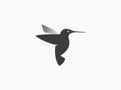 Hummingbird hummingbird logo