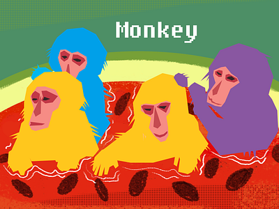 Monkey