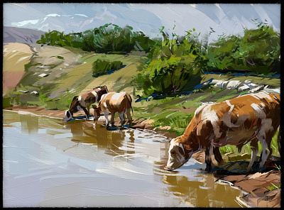 Cows illustration