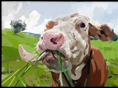 The cow illustration