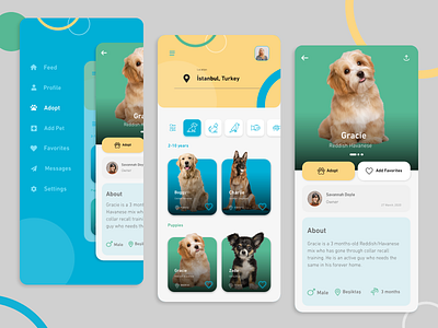 Pet Adoption App 🐕🐈 adobe xd adopt adoption animal animals clean colorful colorful design colorfull design app figma figmadesign flat pet pet adoption pet app pet care pet portrait pet social ui