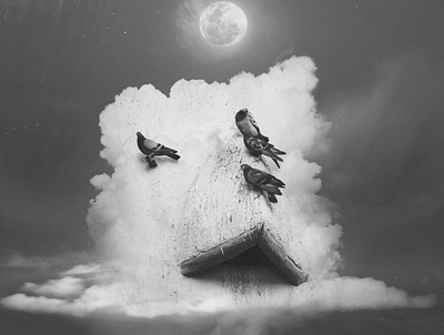 Pigeons in the clouds adobe albumcover art artwork blackandwhite clouds design digitalart light moon moonlight photomanipulation photoshop pigeon ps surreal white