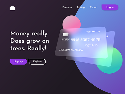 Landing Page - Credit Card