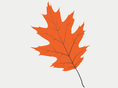 Leaf adobe illustrator cc icon logo