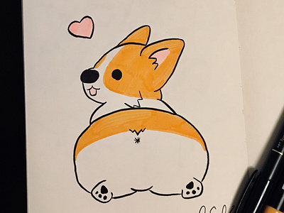 Corgi Love <3