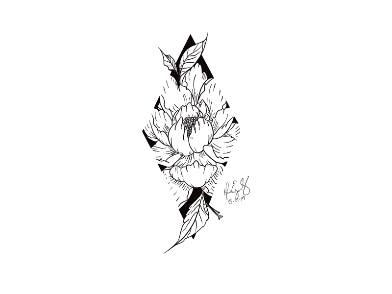 Collection of minimalistic simple floral elements Graphic sketch  Fashionable tattoo design Flowers grass and leaves Botanical natural  elements Vector illustration Outline line doodle style 2260747 Vector  Art at Vecteezy