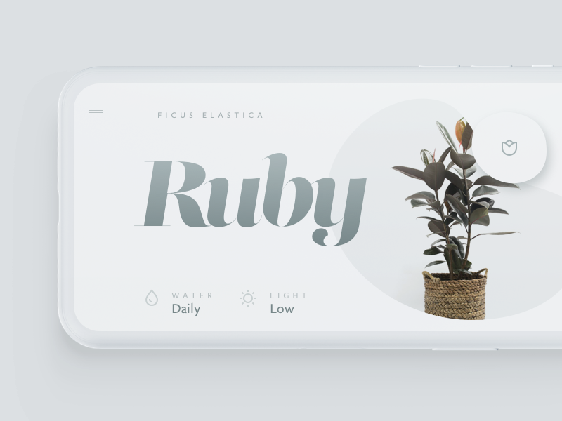 Flowers type visual interface touch ui minimal typography simple light mobile app flowers