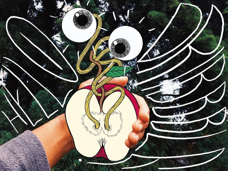 Hello Dribbble You Are an Apple of My Eye by Ranggasme on Dribbble