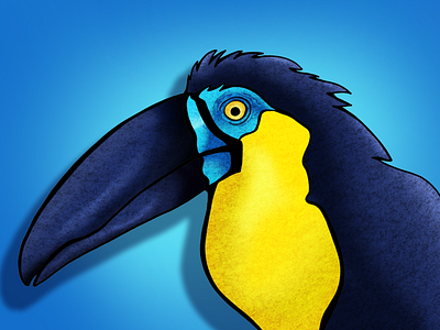 TUCAN BLUES birds blue blueberry bright colors color colorful design digital color hand crafted hand drawn illustration nature tropical tropical design tucan