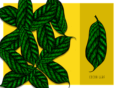 Cocoa Leaves bright colors cocoa leaf digital color hand crafted hand drawn illustration tropical tropical design tropical leaves