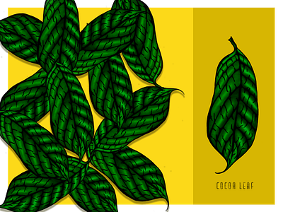 Cocoa Leaves