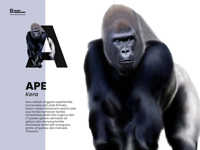 A | Ape #AnimalAlphabetSeries animation design digitalart digitalillustration graphic design illustration illustrator