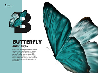 B | Butterfly #AnimalAlphabetSeries animation digitalart digitalillustration graphic design illustration illustrator