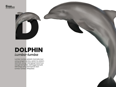 D | Dolphin #AnimalAlphabetSeries design graphic design illustration illustrator