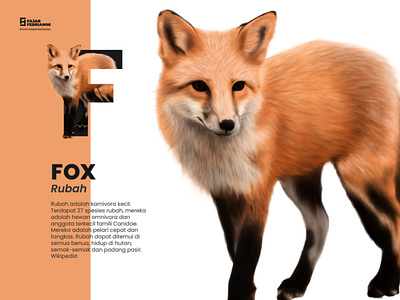 F | Fox #animalalphabetseries design graphic design illustration illustrator