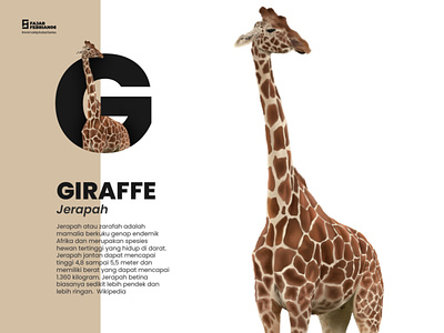 G | Giraffe
#AnimalAlphabetSeries